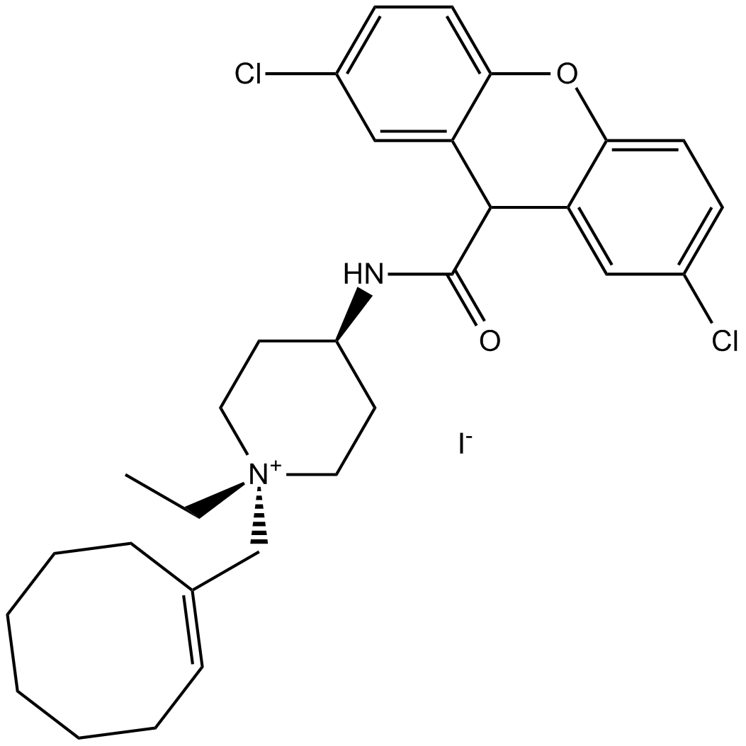 J 113863