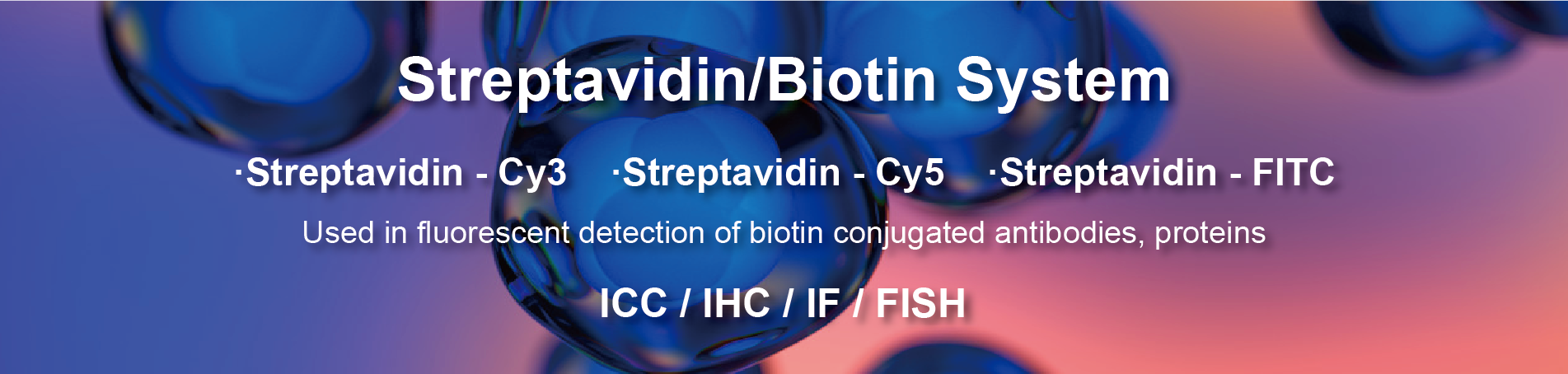 Streptavidin/Biotin System