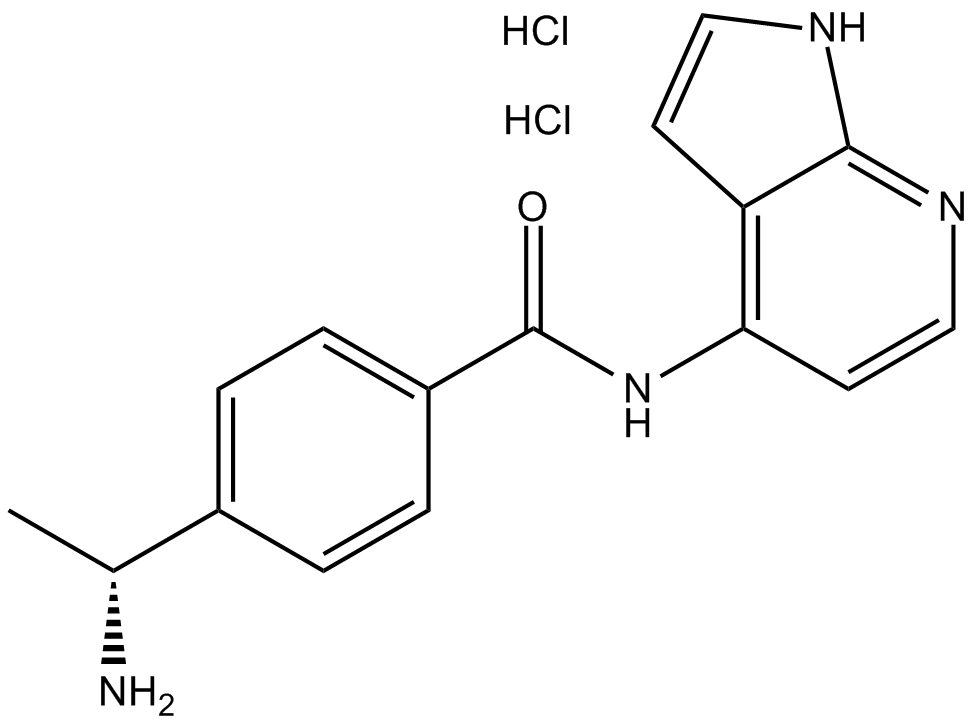 Y-39983 dihydrochloride