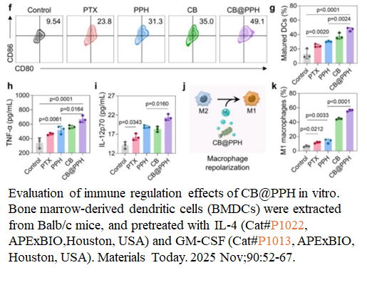 IL-4, murine recombinant IL-4, murine recombinant