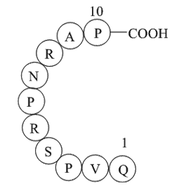 Dynamin inhibitory peptide