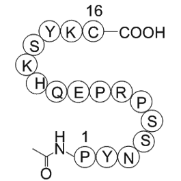 Nitric Oxide Synthase (599-613) Blocking Peptide, Bovine Endothelial Cell