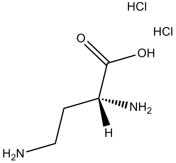 H-D-Dab-OH•2HCl