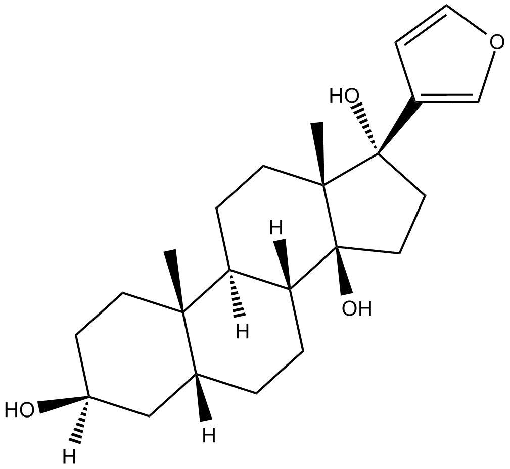 Rostafuroxin (PST 2238)