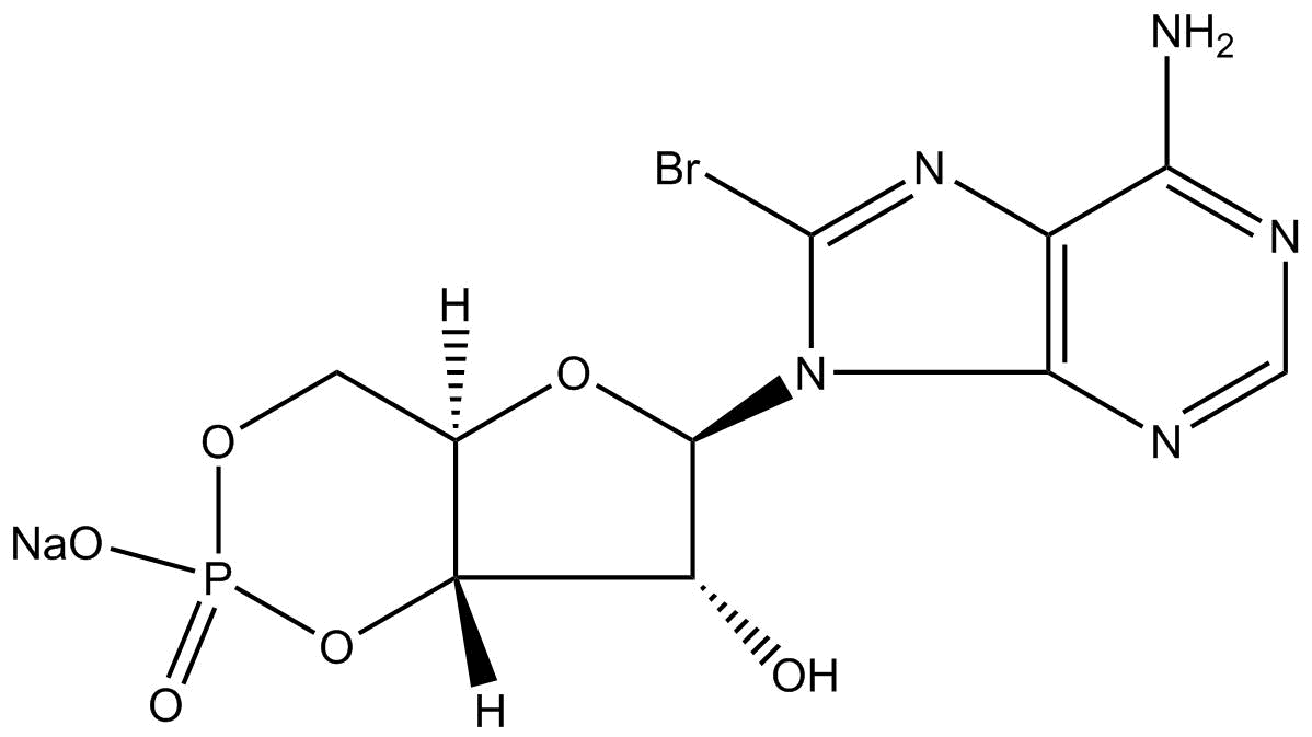 8-Bromo-cAMP, sodium salt