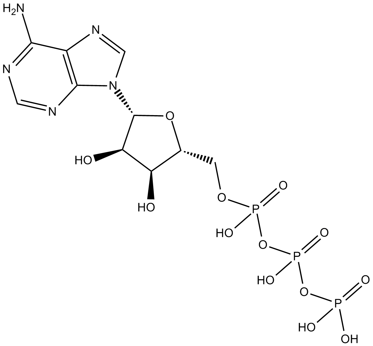 ATP