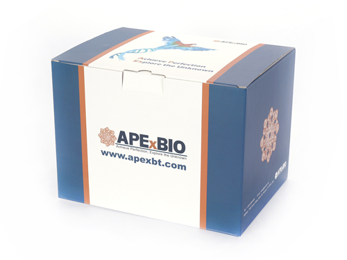 Annexin V-HF488/PI Apoptosis Kit