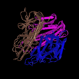 TNF-alpha, recombinant murine protein