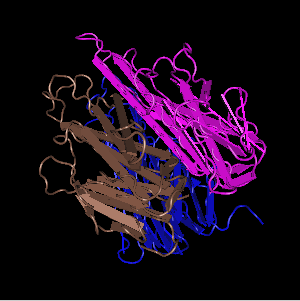 TNF-alpha, recombinant rat protein