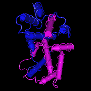 IFN-gamma, murine recombinant