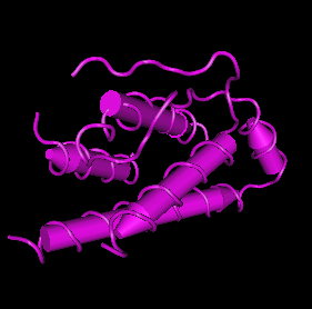 IL-2, human recombinant