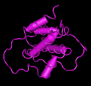 IL-3, human recombinant