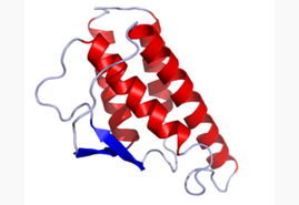 IL-4, murine recombinant
