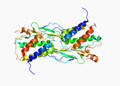 IL-15, human recombinant protein