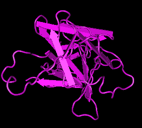 IL-18, human recombinant protein