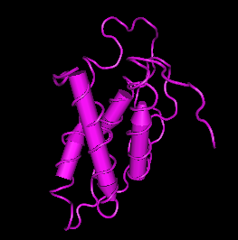 IL-21, human recombinant protein