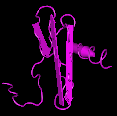 (CXCL12), human recombinant protein