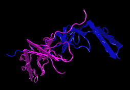 PDGF-AA, murine recombinant protein