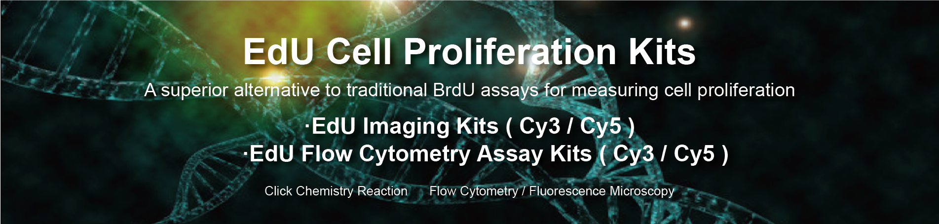 EdU Cell Proliferation Kits