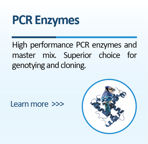 PCR Enzymes