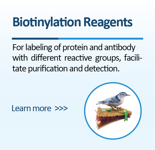 biotinylation reagents