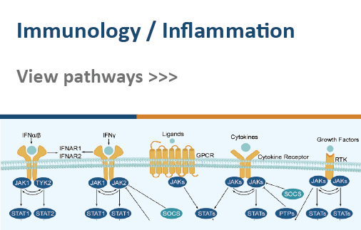 immunology/inflammation