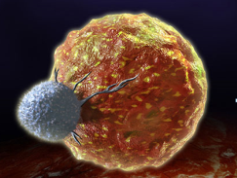 Cancer immunotherapy