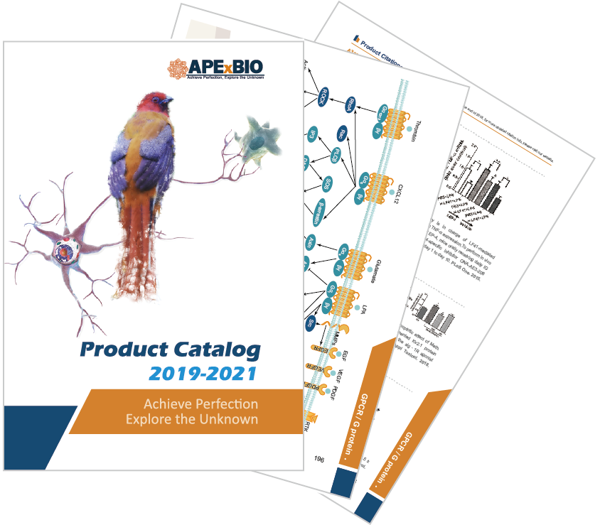 Product_catalog