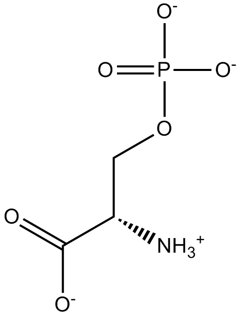 lewis structure of serine