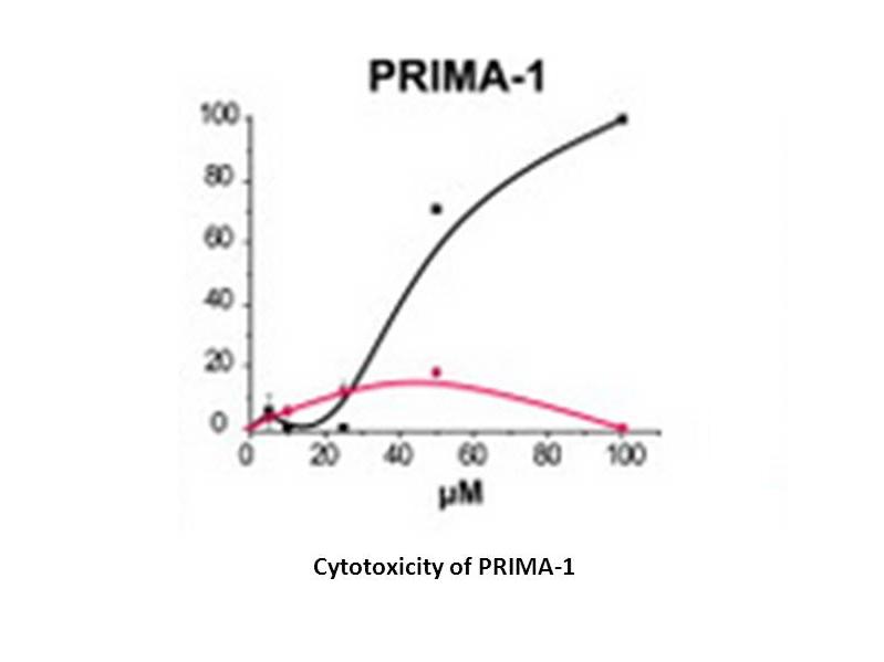 PRIMA-1