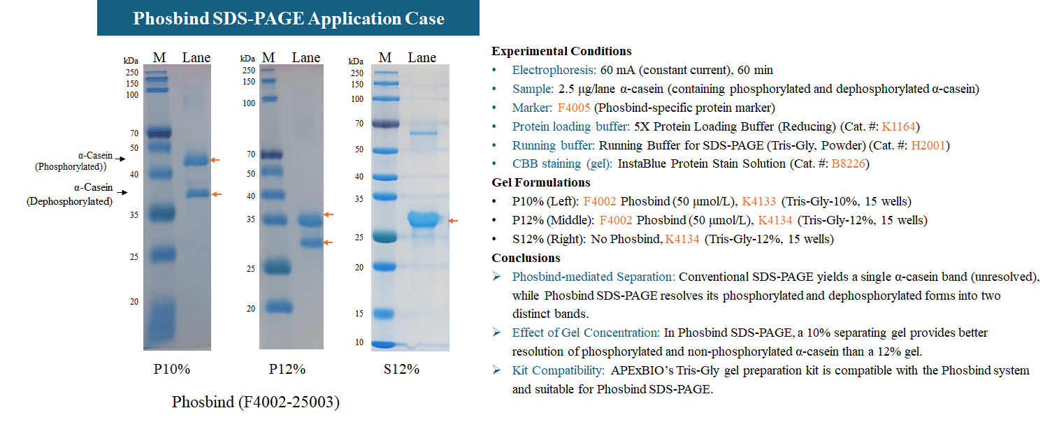 Phos binding reagent (Phosbind) acrylamide Phosbind Acrylamide