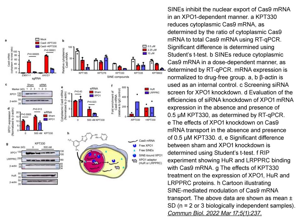 EZ Cap™ Cas9 mRNA (5-moUTP)