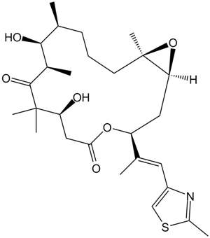 Epothilone B (EPO906, Patupilone)