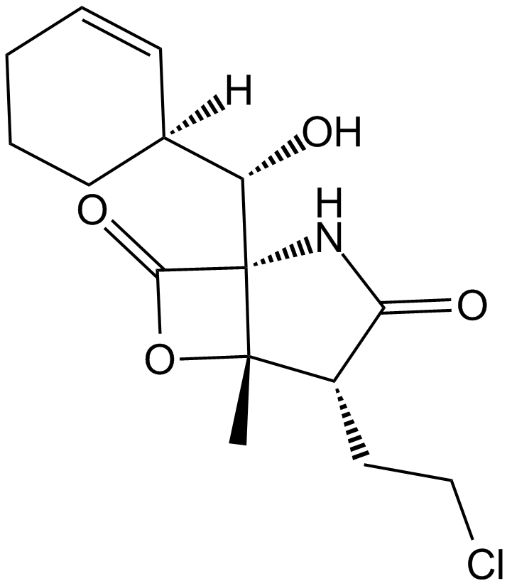 Salinosporamide A (NPI-0052, Marizomib)