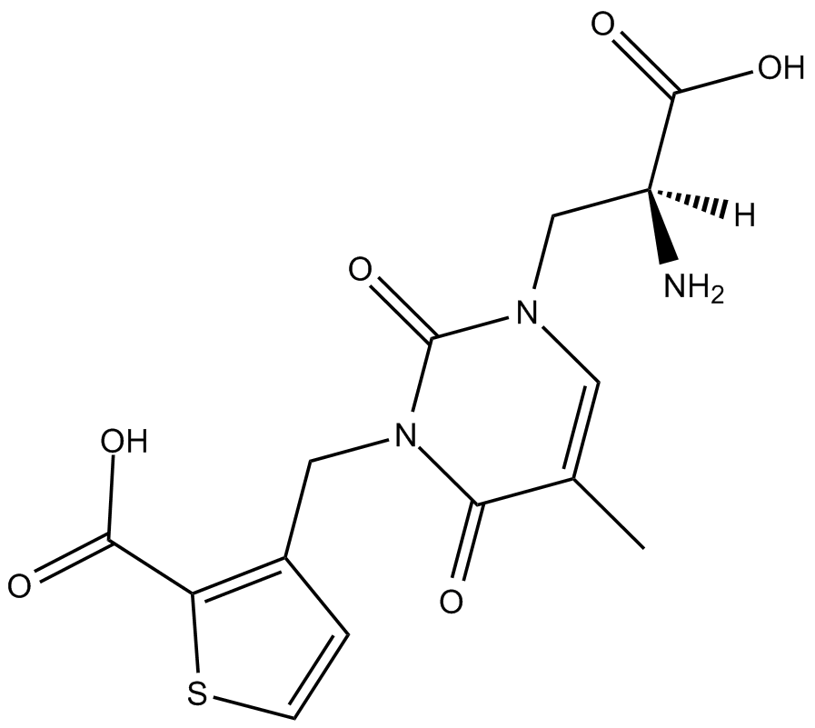 UBP 310