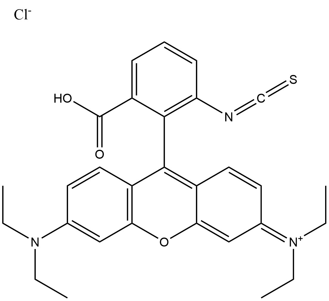 Rhodamine B isothiocyanate