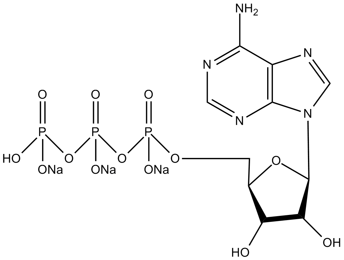 ATP Solution (100 mM)