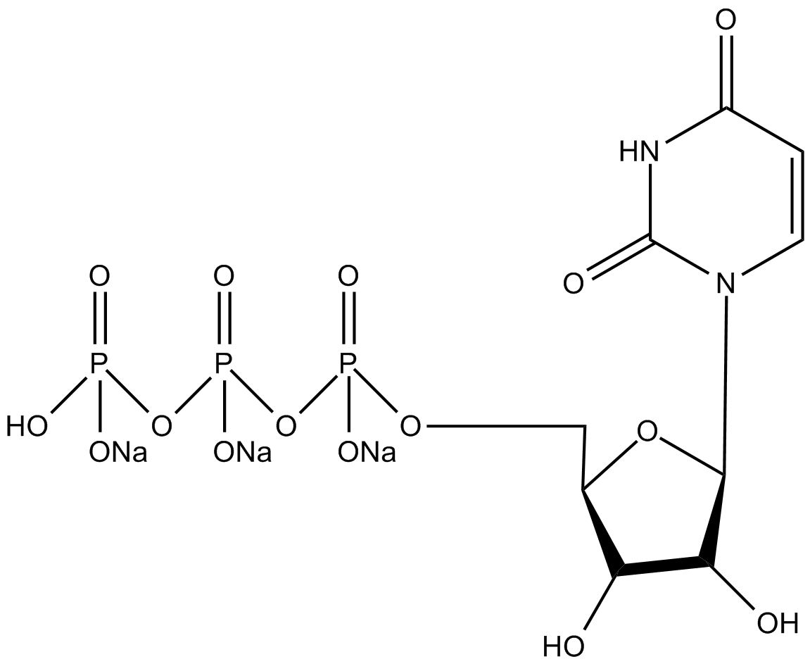 UTP Solution (100 mM)